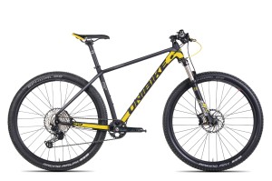 Rower Unibike Flite