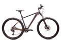 cayon-drxt-2x11 (1).jpg