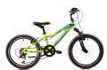 raido-20-junior (1).jpg