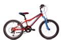 raido-20-junior.jpg