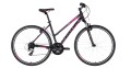 clea-30-1.webp