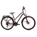 offroad-cues-2x9 (1).jpg