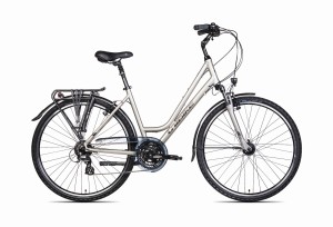 Rower Unibike Vision LDS