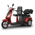 skuter-elektryczny-bili-bike-shino-g5-dwuosobowy-1000w-1.webp
