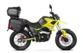 hyper-yellow-255400096.webp