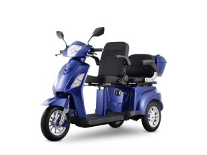 Pojazd elektryczny LIFE double