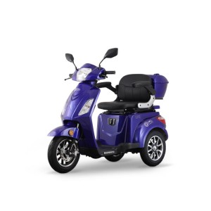 Pojazd elektryczny LIFE Basic Iamelectric
