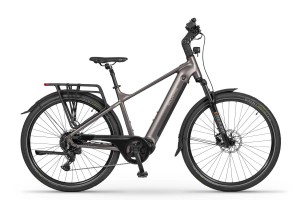 Ecobike MX300 Golden Gray