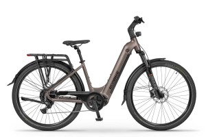 Ecobike LX300 Onyx