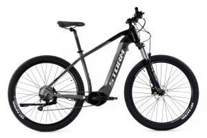 Storm E-Taurus 4.0
