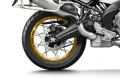 5.webp