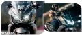 8.webp